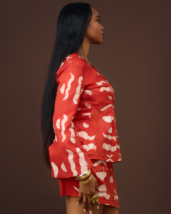 Ensemble IFEDOLA